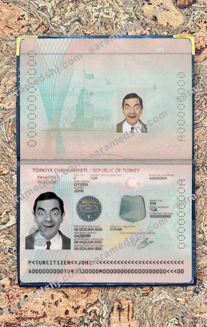 New Turkey Passport photo look